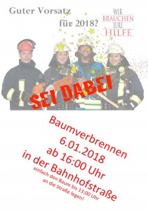 Flyer 2017 hinten